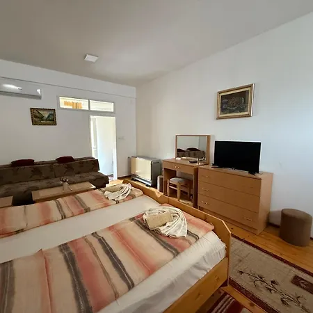 Apartment Nikola Vb