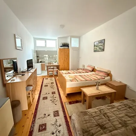Apartment Nikola Vb *